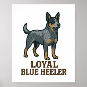 Australian Shepherd Poster