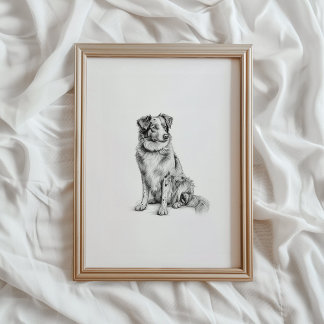 Australian Shepherd Print, Aussie Dog Sketch, PRIN Poster