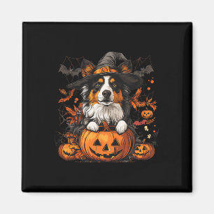 Australian Shepherd Pumpkin Halloween Thanksgiving Magnet