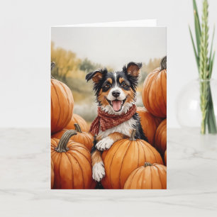 Australian Shepherd Pumpkin Patch Card