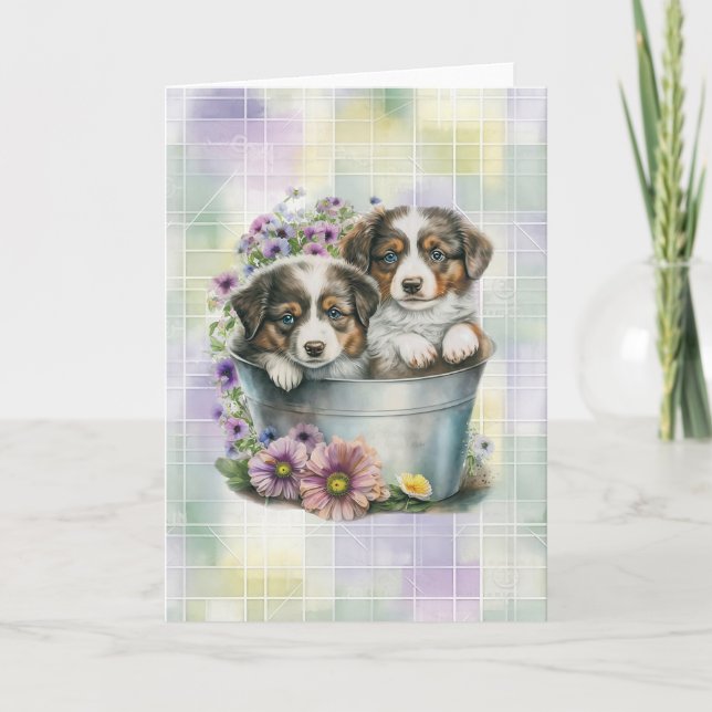 Australian Shepherd Puppies Blank Folded Note Card (Front)