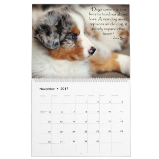 Australian Shepherd Puppies Calendar