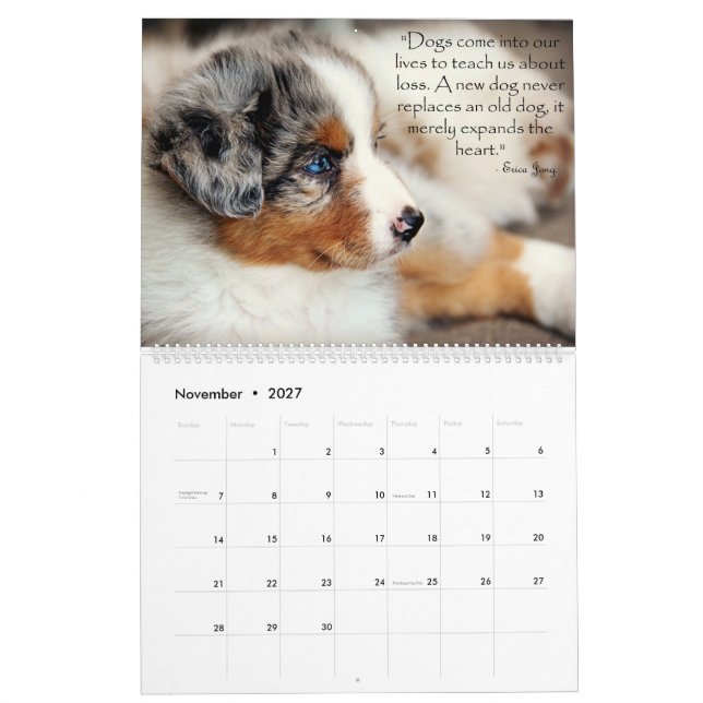 Australian Shepherd Puppies Calendar (Nov 2027)