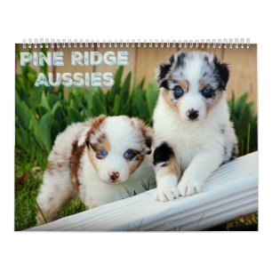 Australian Shepherd Puppies Calendar