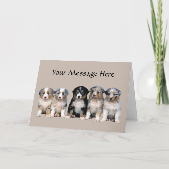 Australian Shepherd Puppies Greeting Card (Front)