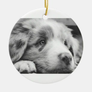 australian shepherd puppy bw ceramic ornament
