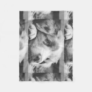 australian shepherd puppy bw fleece blanket