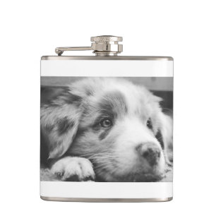 australian shepherd puppy bw hip flask