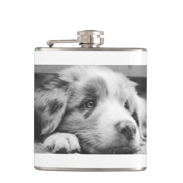 australian shepherd puppy bw hip flask (Front)