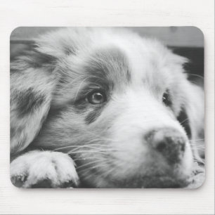 australian shepherd puppy bw mouse pad