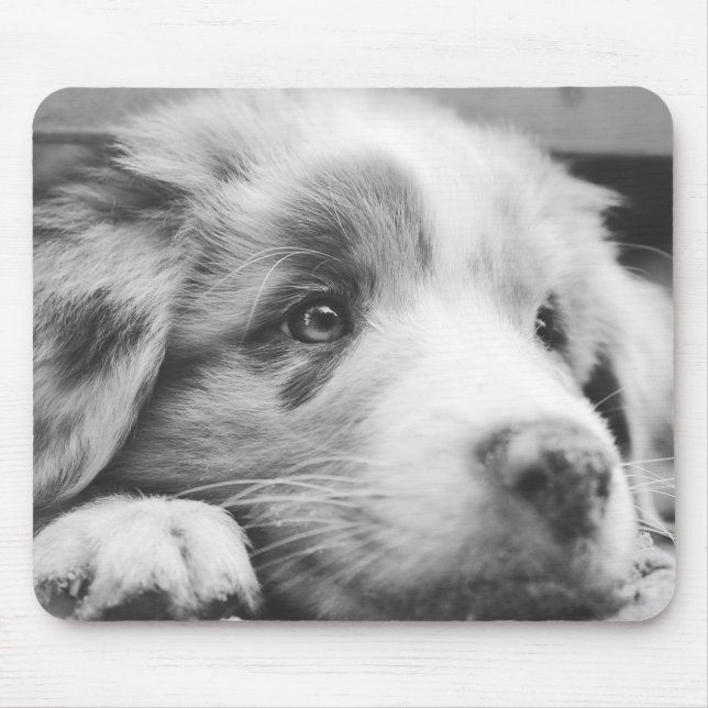 australian shepherd puppy bw mouse pad (Front)