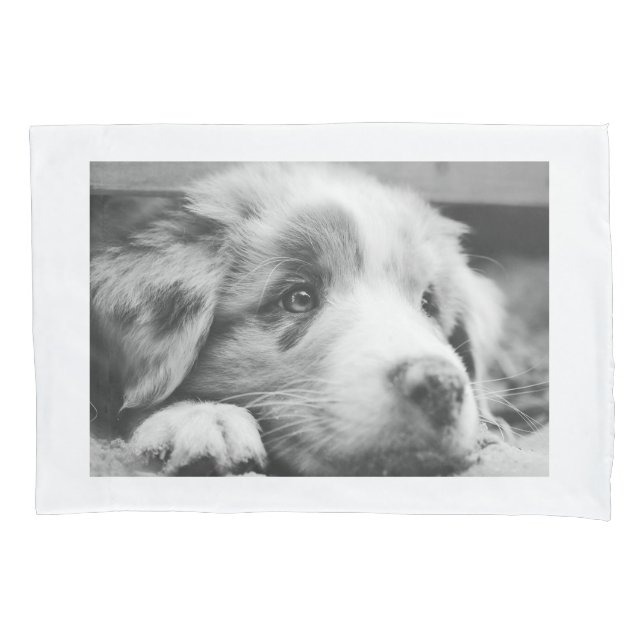 australian shepherd puppy bw pillowcase (Front)