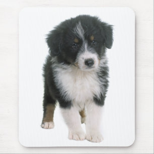 Australian Shepherd Puppy Dog - Aussie Love Mouse Pad