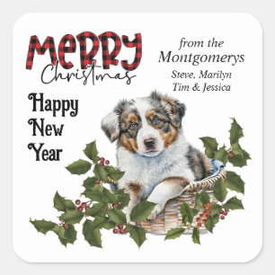 Australian Shepherd Puppy Holly Basket Christmas Square Sticker