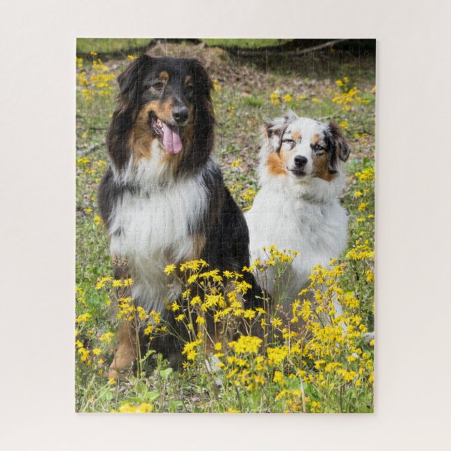 Australian Shepherd Puzzle (Vertical)
