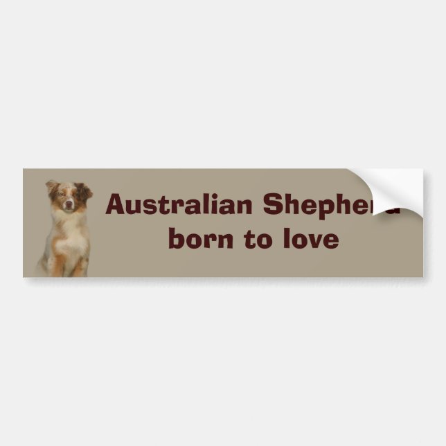 Australian Shepherd Red Bumper Sticker (Front)