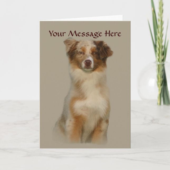 Australian Shepherd Red Greeting Card (Front)