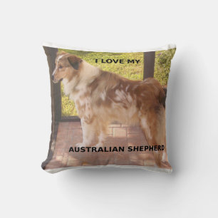 Australian_shepherd red merle love w pic cushion