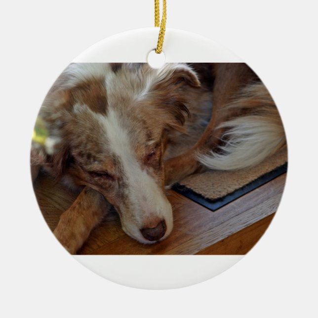australian shepherd red merle sleeping ceramic ornament (Front)