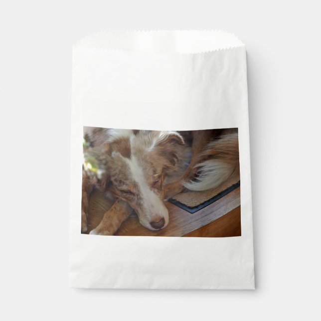 australian shepherd red merle sleeping favour bag (Front)