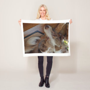 australian shepherd red merle sleeping fleece blanket