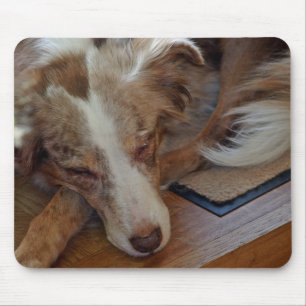 australian shepherd red merle sleeping mouse pad