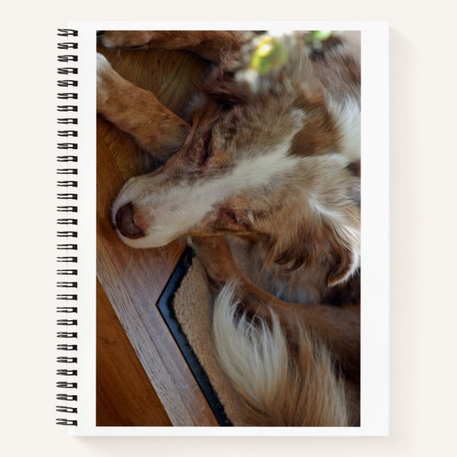 australian shepherd red merle sleeping notebook (Front)