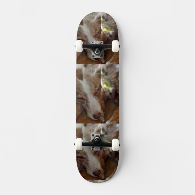 australian shepherd red merle sleeping skateboard (Front)