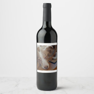 australian shepherd red merle sleeping wine label
