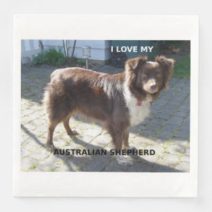 australian shepherd red tri love w pic napkin