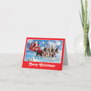 Australian Shepherd Reindeer Holiday Card