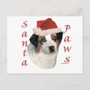 Australian Shepherd Santa Paws Holiday Postcard