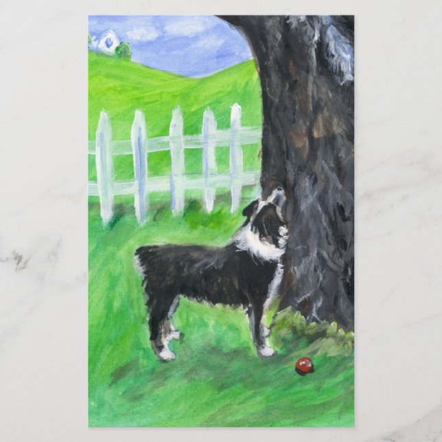 Australian Shepherd sees squirrel (Front)