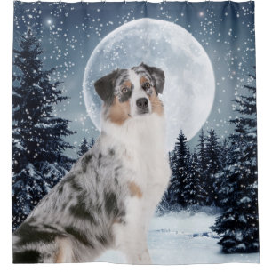 Australian Shepherd Shower Curtian Curtain