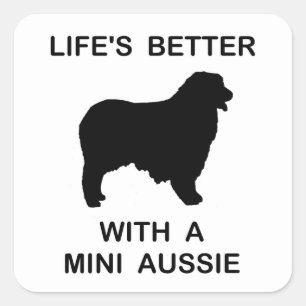 Australian Shepherd silhouette lifes better Square Sticker