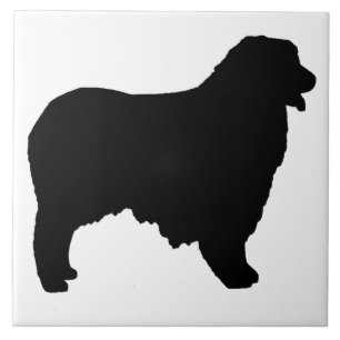 Australian Shepherd silo Ceramic Tile