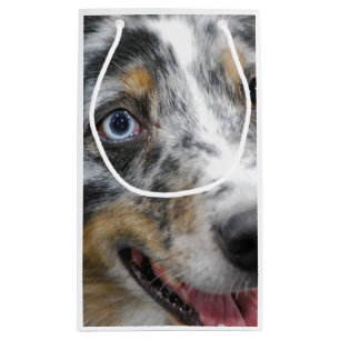 Australian Shepherd Small Gift Bag
