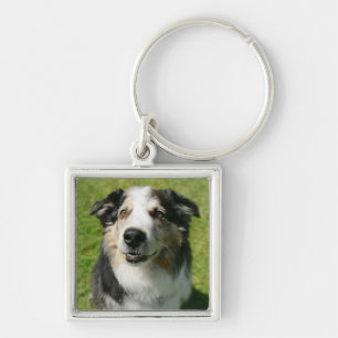 Australian Shepherd smiling at camera Key Ring