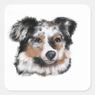 Australian Shepherd Square Sticker
