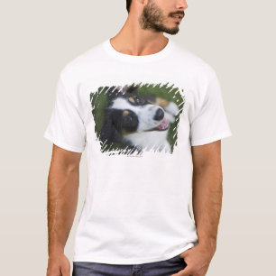 Australian Shepherd standing on hind legs T-Shirt