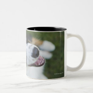 Australian Shepherd standing on hind legs Two-Tone Coffee Mug