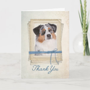 Australian Shepherd Thank You Card