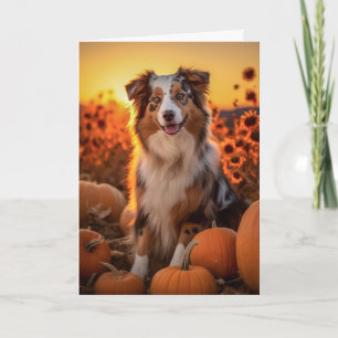 Australian Shepherd Thanksgiving Holiday Card