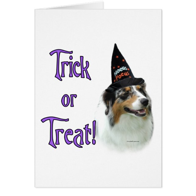 Australian Shepherd Trick (Front)