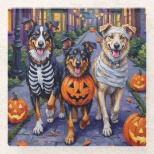 Australian Shepherd Trick-or-Treating in Halloween Glass Coaster