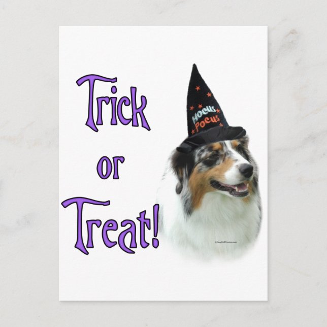 Australian Shepherd Trick Postcard (Front)