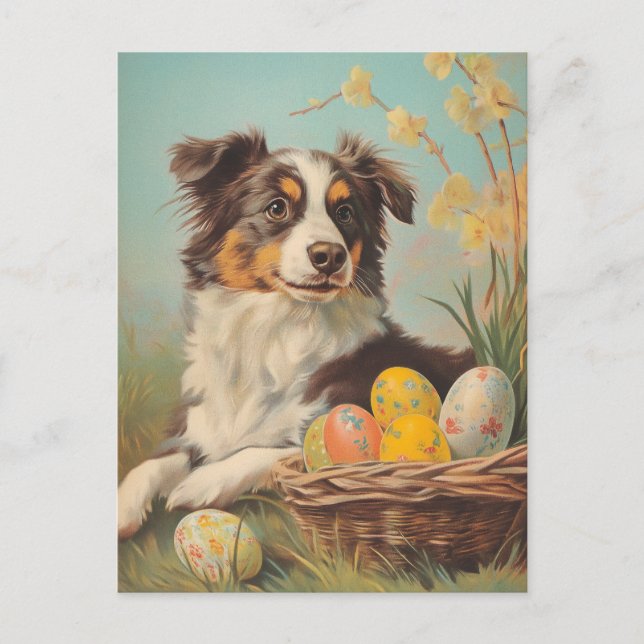 Australian Shepherd Vintage Easter Postcard (Front)