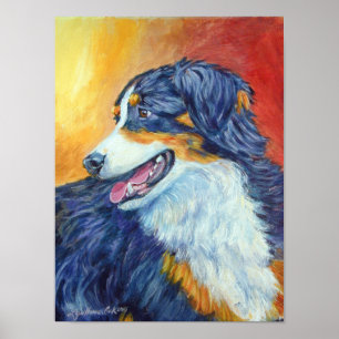 Australian Shepherd Wall Print