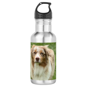 Australian Shepherd Water Bottle