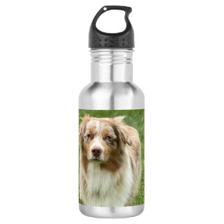 Australian Shepherd Water Bottle